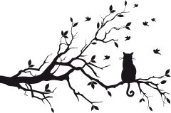 Cat Satsang